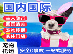 乌兰浩特机场快递国际宠物托运 【国